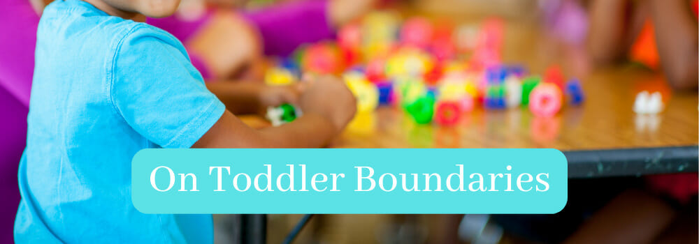 On Toddler Boundaries Article Castle Valley Children's Clinic